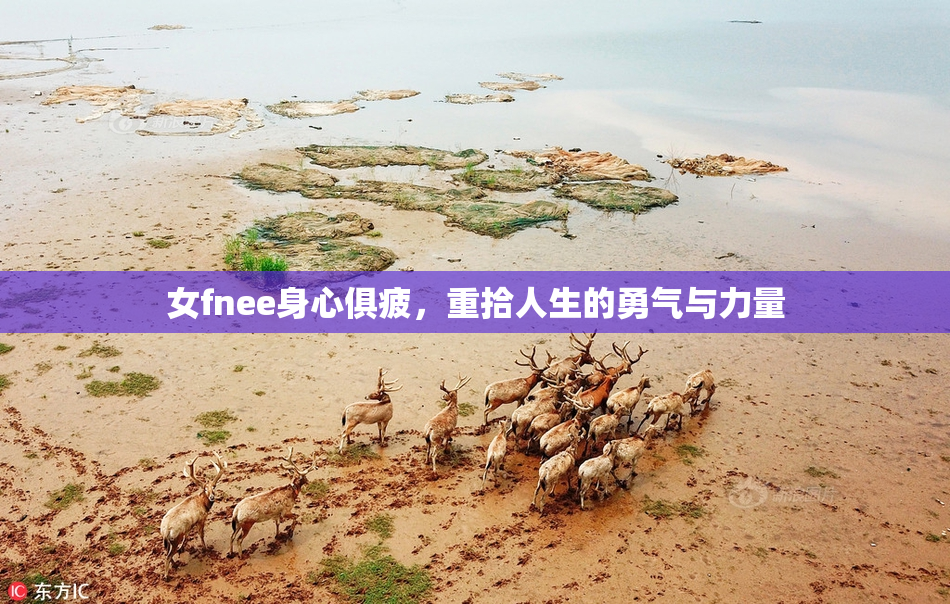 女fnee身心俱疲，重拾人生的勇气与力量