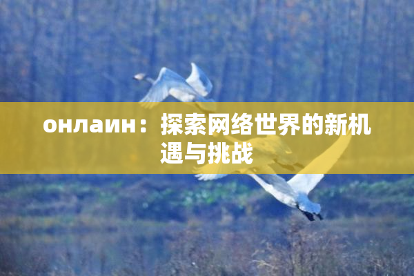 онлаин：探索网络世界的新机遇与挑战