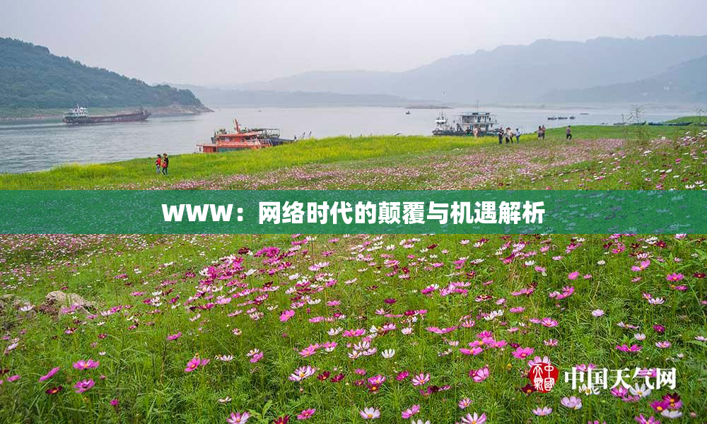 WWW：网络时代的颠覆与机遇解析