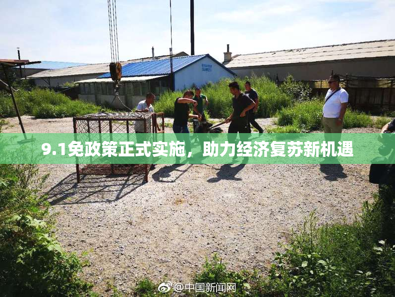 9.1免政策正式实施，助力经济复苏新机遇