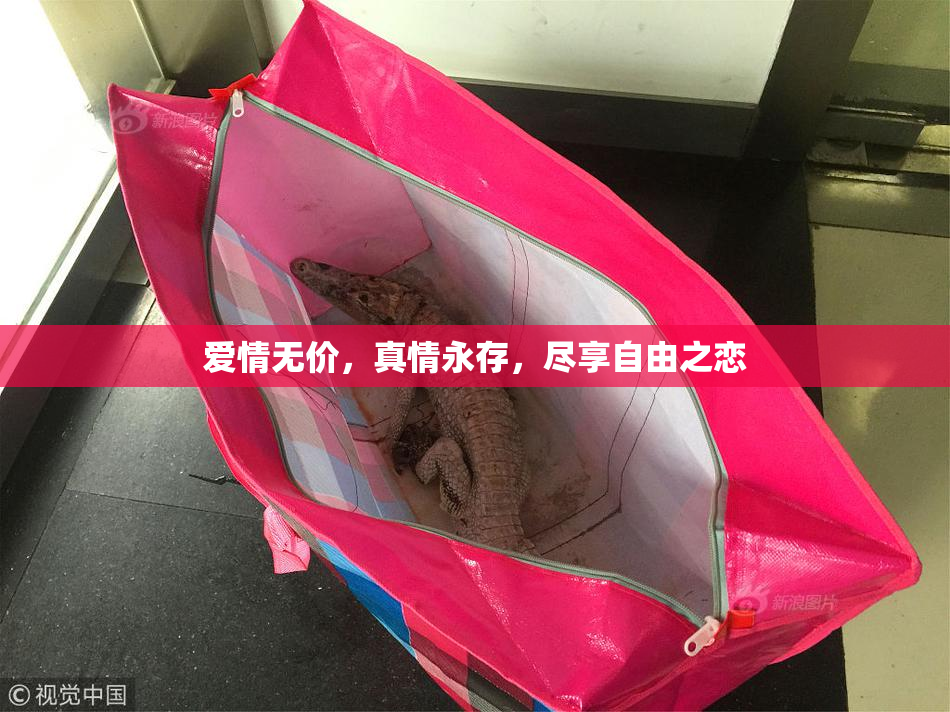 爱情无价，真情永存，尽享自由之恋
