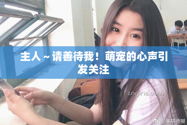 主人～请善待我！萌宠的心声引发关注