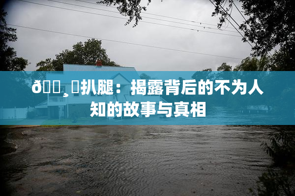 🌸‌扒腿：揭露背后的不为人知的故事与真相