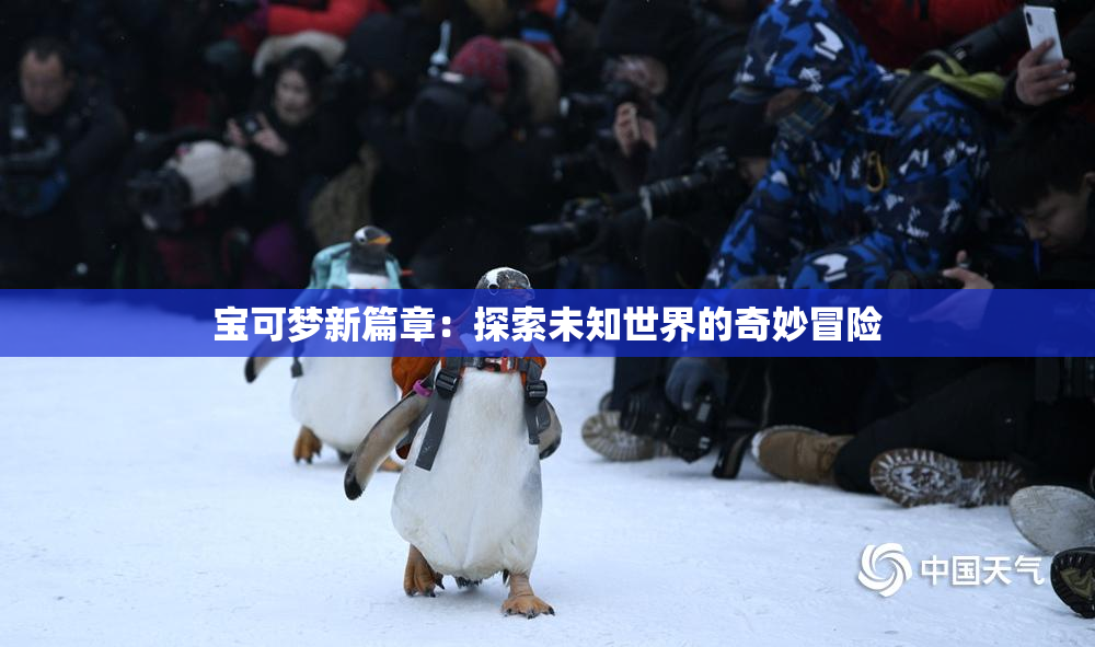宝可梦新篇章：探索未知世界的奇妙冒险