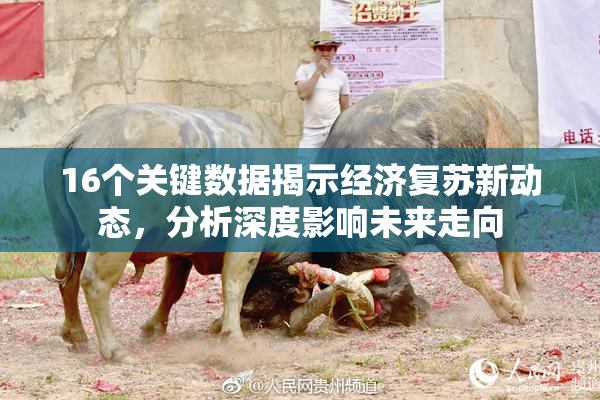 16个关键数据揭示经济复苏新动态，分析深度影响未来走向