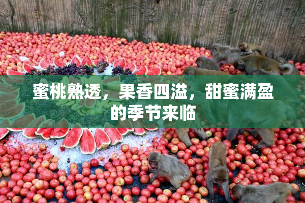 蜜桃熟透，果香四溢，甜蜜满盈的季节来临
