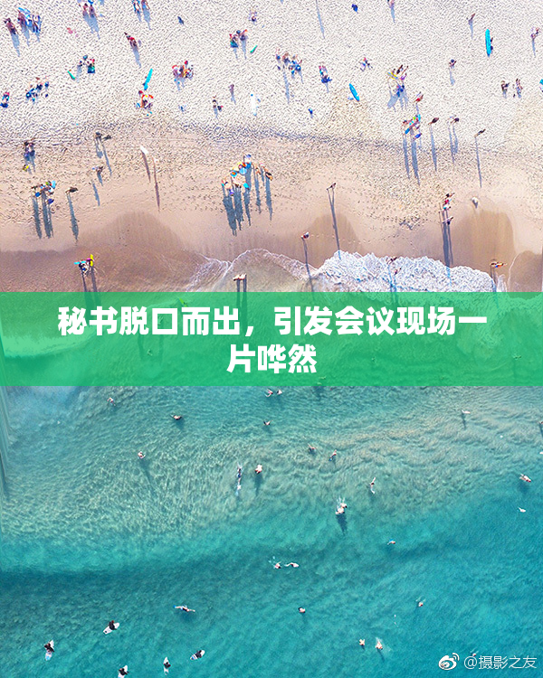 秘书脱口而出，引发会议现场一片哗然