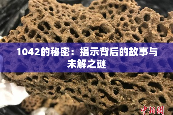 1042的秘密：揭示背后的故事与未解之谜