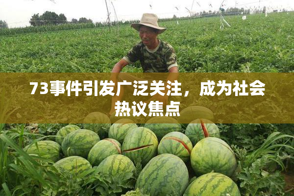 73事件引发广泛关注，成为社会热议焦点