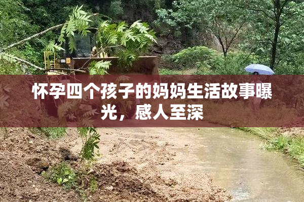 怀孕四个孩子的妈妈生活故事曝光，感人至深