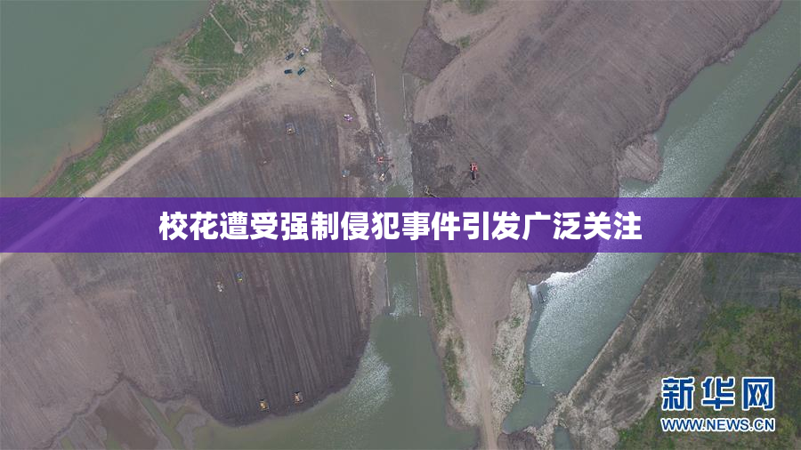 校花遭受强制侵犯事件引发广泛关注