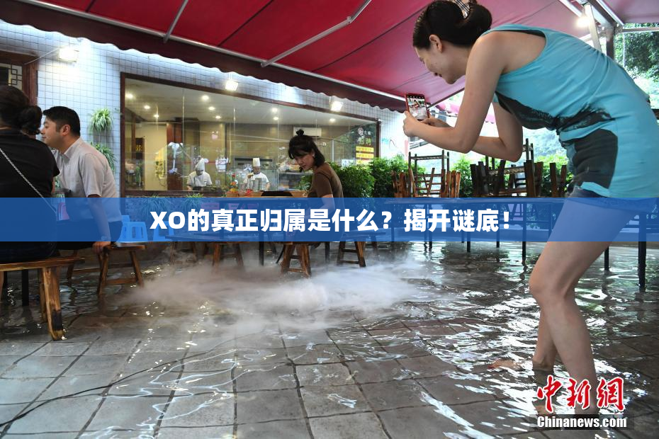 XO的真正归属是什么？揭开谜底！