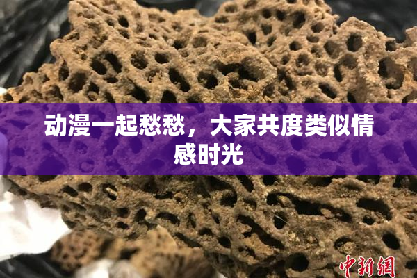 动漫一起愁愁，大家共度类似情感时光