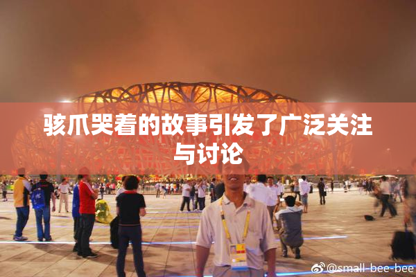骇爪哭着的故事引发了广泛关注与讨论